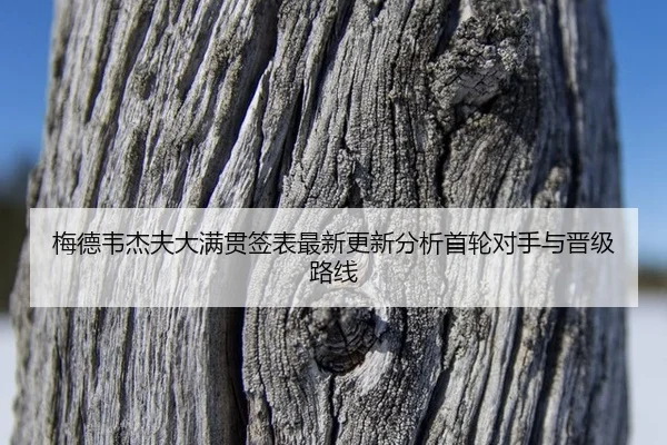 mei-de-wei-jie-fu-da-man-guan-qian-biao-zui-xin-geng-xin-fen-xi-shou-lun-dui-shou-yu-jin-ji-lu-xian-2-412.jpg